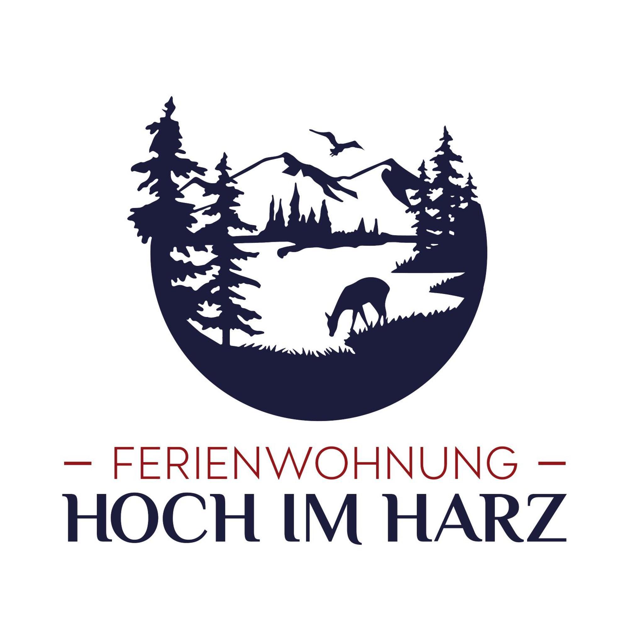 Ferienwohnung Hoch Im Harz, Altenau Altenau  Zewnętrze zdjęcie